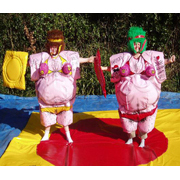 sport inflatable games